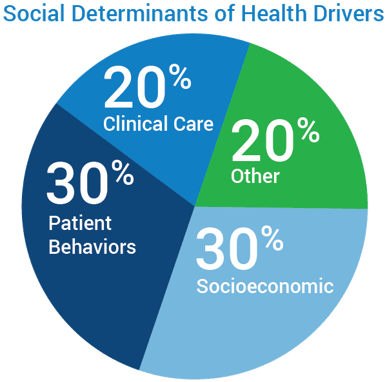 A piechart showcasing the social determinants of heath and patient behavior. 